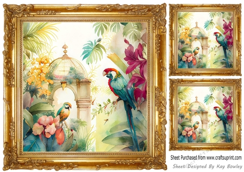 Gold Ornate Frame 8x8, with Exotic Birds Card Fronts (Three)