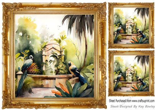 Gold Ornate Frame 8x8, with Exotic Birds Card Fronts (Five)