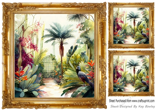 Gold Ornate Frame 8x8, with Exotic Birds Card Fronts (six)