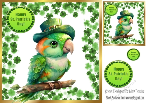 Cute Parrot in St Patricks Clover Frame 8x8 (five)