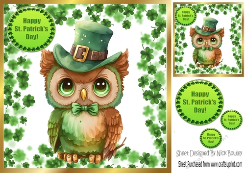 Cute Owl in St Patricks Clover Frame 8x8 (Eight)