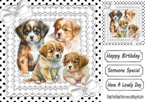 Cute Puppies on lace, black polkdot, white Diamante Bows 8x8 (one)