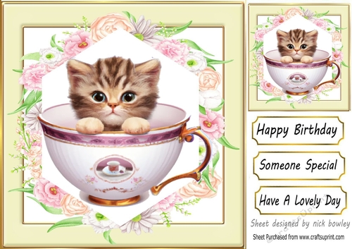 Pretty Floral Cream/Gold Frame 8x8 With Cute Kitten in Teacup