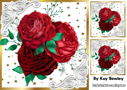 Pretty Red Roses With Ornate Frame With Gold Stars 8x8