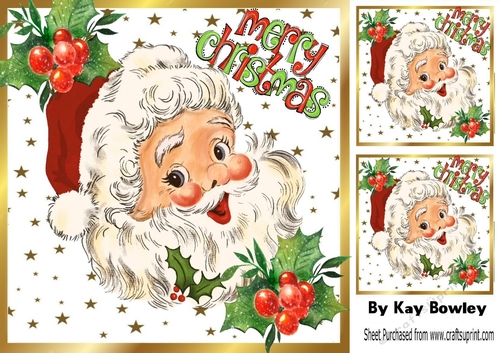 Lovely Jolly Santa with Holly And Berries