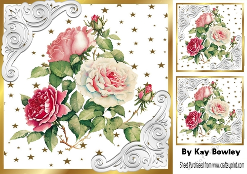 Pretty Pink/White Roses With Ornate Frame With Gold Stars 8x8