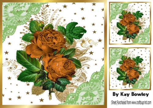 Pretty Orange Roses With Gold Stars and lace 8x8
