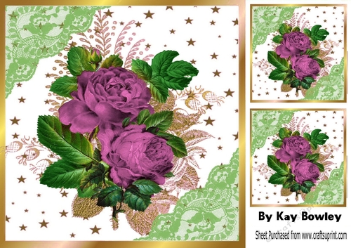 Pretty Pink Roses With Gold Stars and lace 8x8