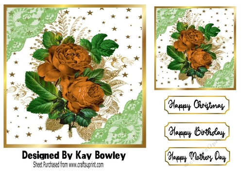 Pretty Orange Roses With Gold Stars and lace 7x7