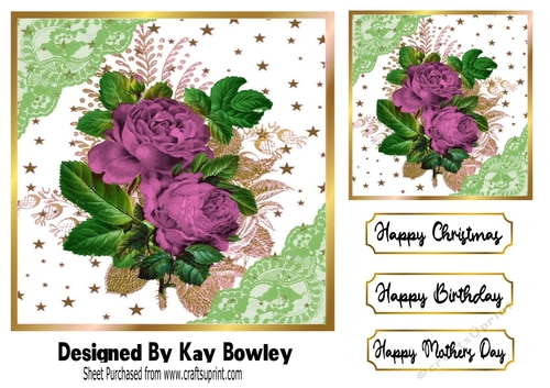 Pretty Pink Roses With Ornate Frame With Gold Stars 7x7