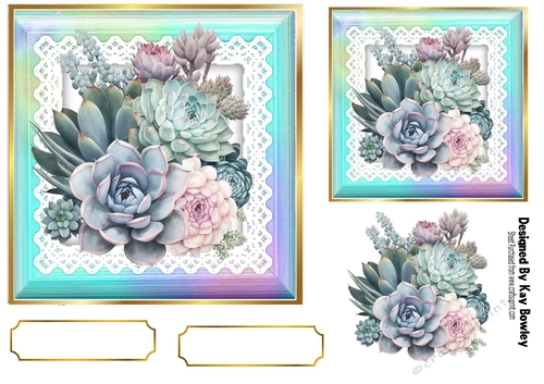 Pretty Rainbow Frame  With Lace 7x7 Succulent (One)