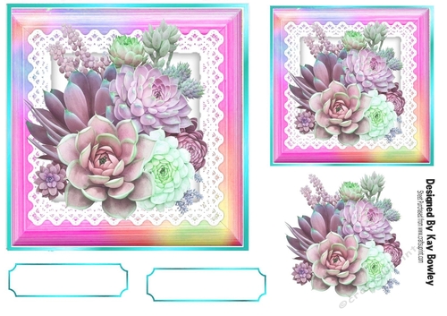 Pretty Rainbow Frame  With Lace 7x7 Succulent (Three)