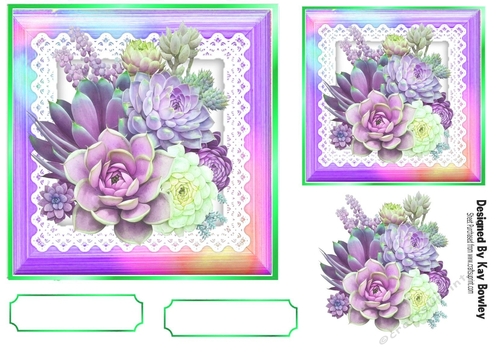 Pretty Rainbow Frame  With Lace 7x7 Succulent (Four)