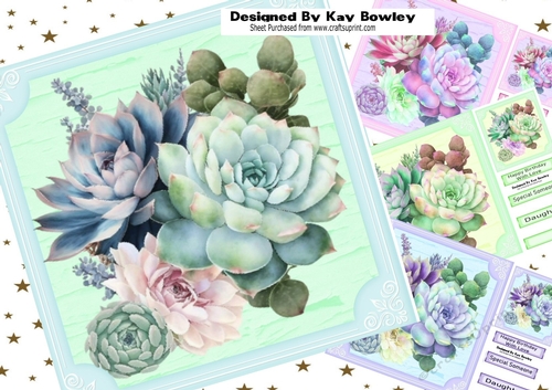  4 Pretty Pastel Coloured Succulents 8x8 Mini Kit