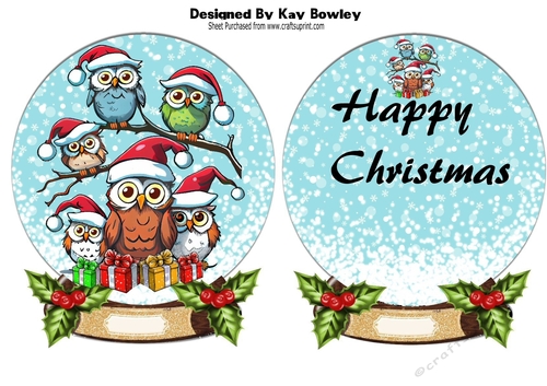 Snowglobe with christmas owl with holly and insert