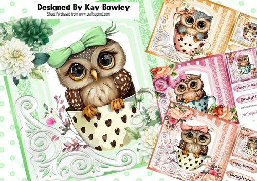  4 Cute Owls In Teacups With  Roses & Flowers 8x8 card front Mini Kit