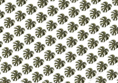 Lovely Moss Tropical Leaves Backing Paper