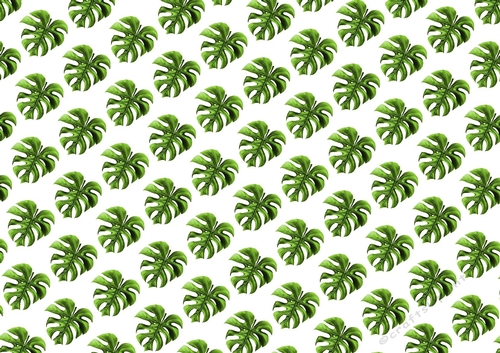 Lovely Green Tropical Leaves Backing Paper (small)