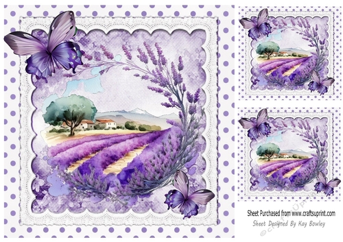 Pretty Lavender Fields With Purple Butterflies/polkadot on Lace 8x8