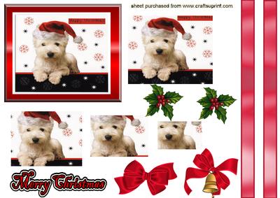 Cute Little Westie with Santa Hat, Pyramids