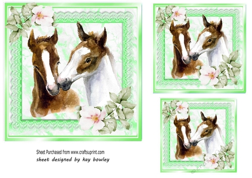 Pretty Green Lace & Marble Card Fronts 7x7 With Horses & Flowers