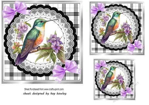 Lovely Black/White Check With Black Lace 7x7 With Birds