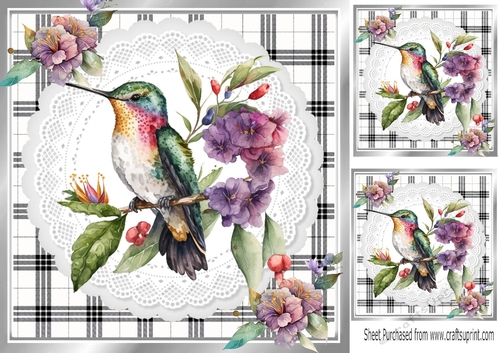 Lovely Black/White Check With White Lace 8x8 Humming Bird