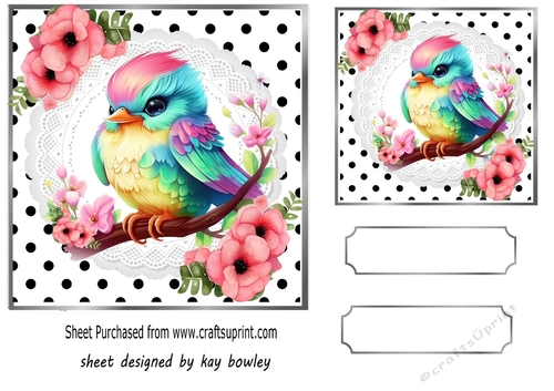 Lovely Baby Bird With Flowers Polkadot/ White Lace 7x7 Topper (one)