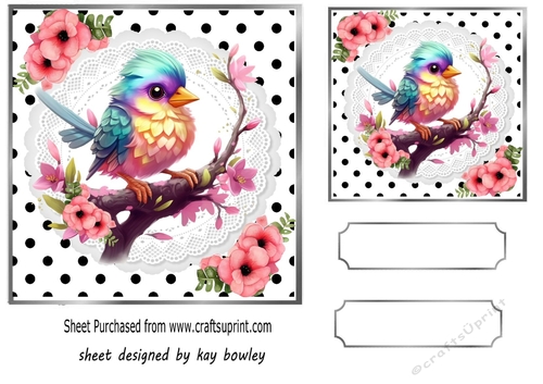 Lovely Baby Bird With Flowers Polkadot/ White Lace 7x7 Topper (two)