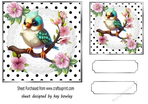 Lovely Baby Bird With Flowers Polkadot/ White Lace 7x7 Topper (three)
