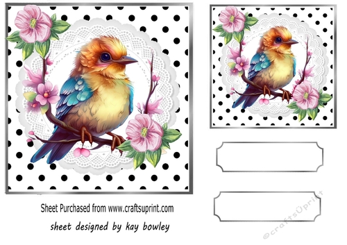 Lovely Baby Bird With Flowers Polkadot/ White Lace 7x7 Topper (four)