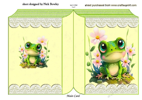 Cute Little Frog On Lace Folded Book (one)