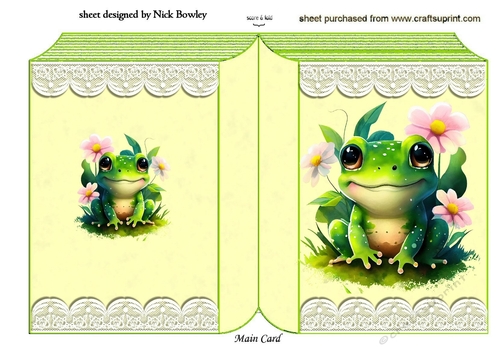 Cute Little Frog On Lace Folded Book (two)