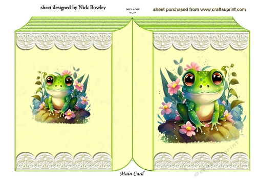 Cute Little Frog On Lace Folded Book (three)