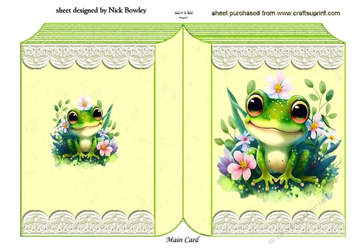 Cute Little Frog On Lace Folded Book (four)