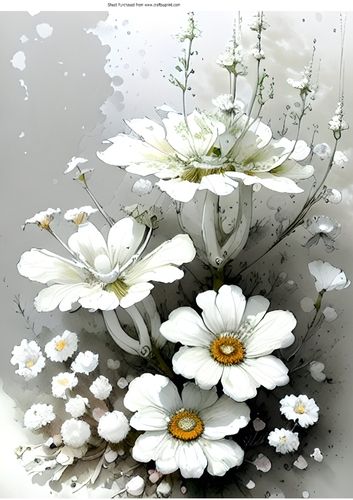Beautiful White Flowers With Shades of Grey A4 (one)