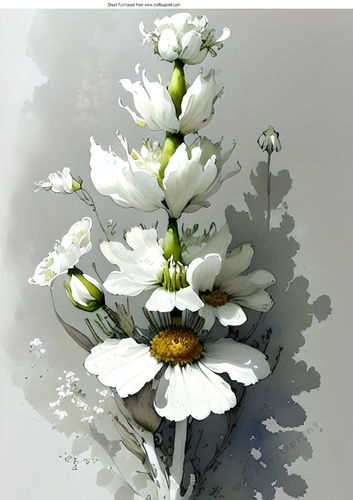 Beautiful White Flowers With Shades of Grey A4 (three)
