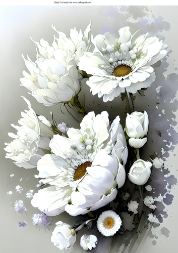 Beautiful White Flowers With Shades of Grey A4 (four)