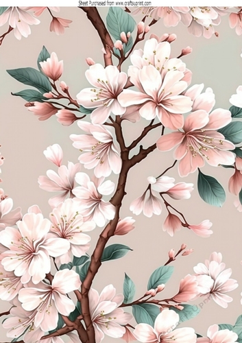  Pretty Cherry Blossom Flowers A4 (one)