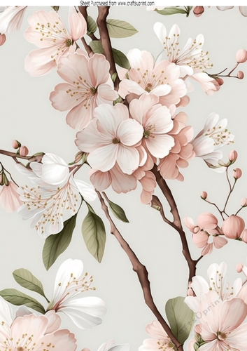 Pretty Cherry Blossom Flowers A4 (Four)