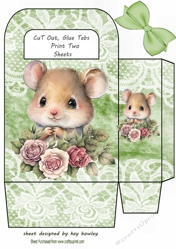 Cute Woodland Mouse With Lace & Green Bow Gift Bag (one)