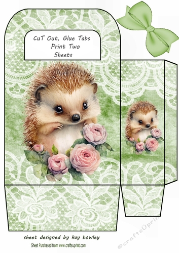 Cute Woodland Hedgehog With Lace & Green Bow Gift Bag (three)