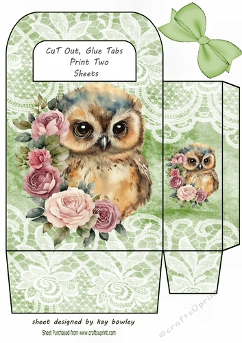 Cute Woodland Owl With Lace & Green Bow Gift Bag (seven)