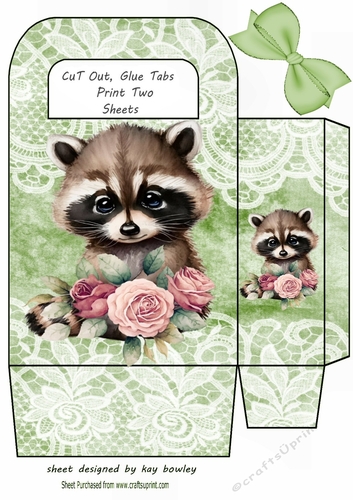 Cute Woodland Raccoon With Lace & Green Bow Gift Bag (eight)