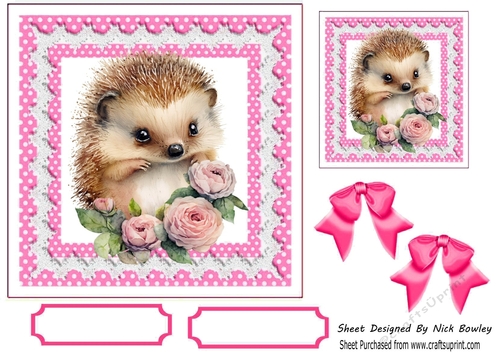 Cute Hedgehog With Pink polkadot & Bows 7x7