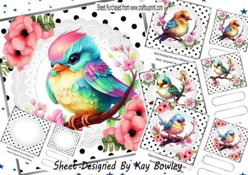 4 Rainbow Baby Birds With Flowers Black/White 7x7 With Polkadot Mini Kit