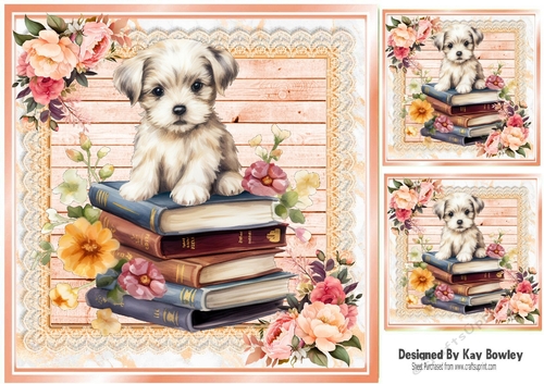 Cute Puppy With Books & Peach Lace With Flowers 8x8 (one)  