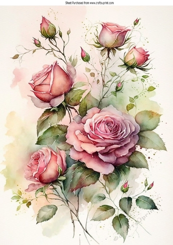 Pretty Pink Roses With Buds A4 (one)