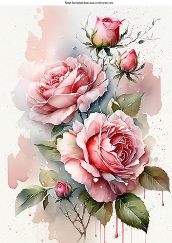 Pretty Pink Roses With Buds A4 (two)