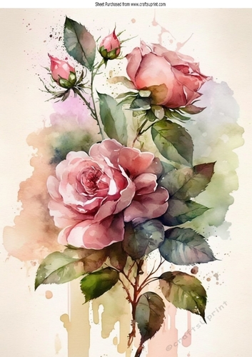 Pretty Pink Roses With Buds A4 (three)